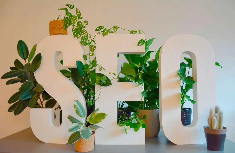 SEO letters with indoor plants on a tabletop