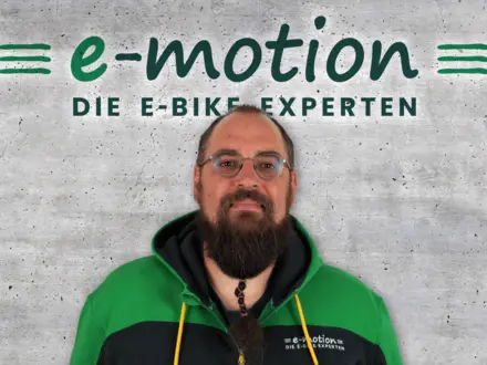A digital ecosystem for e-motion – development with Zoho One