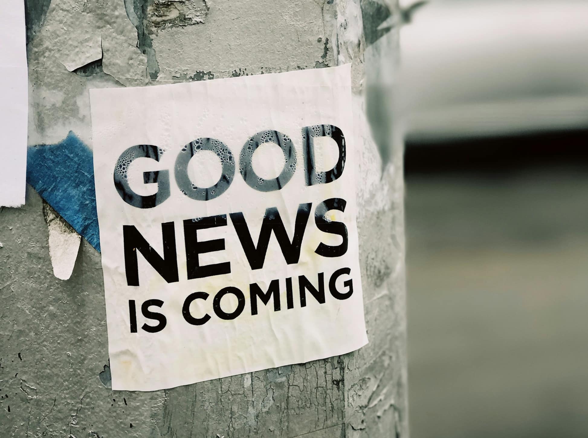 Newsletter en Wordpress