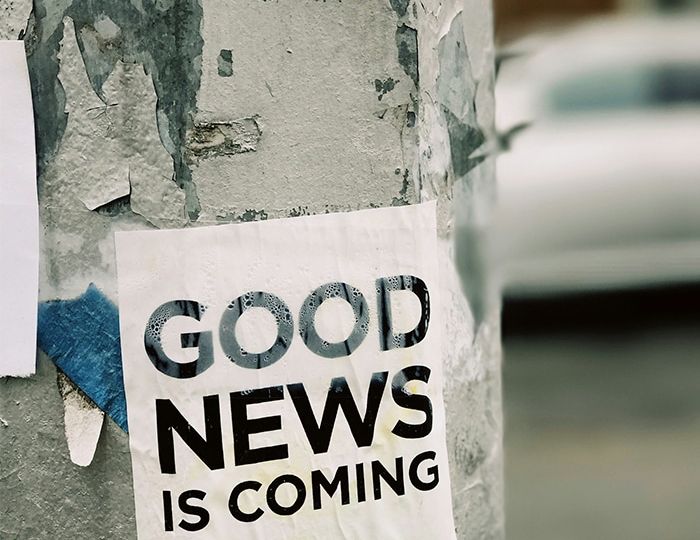 Newsletter in wordpress