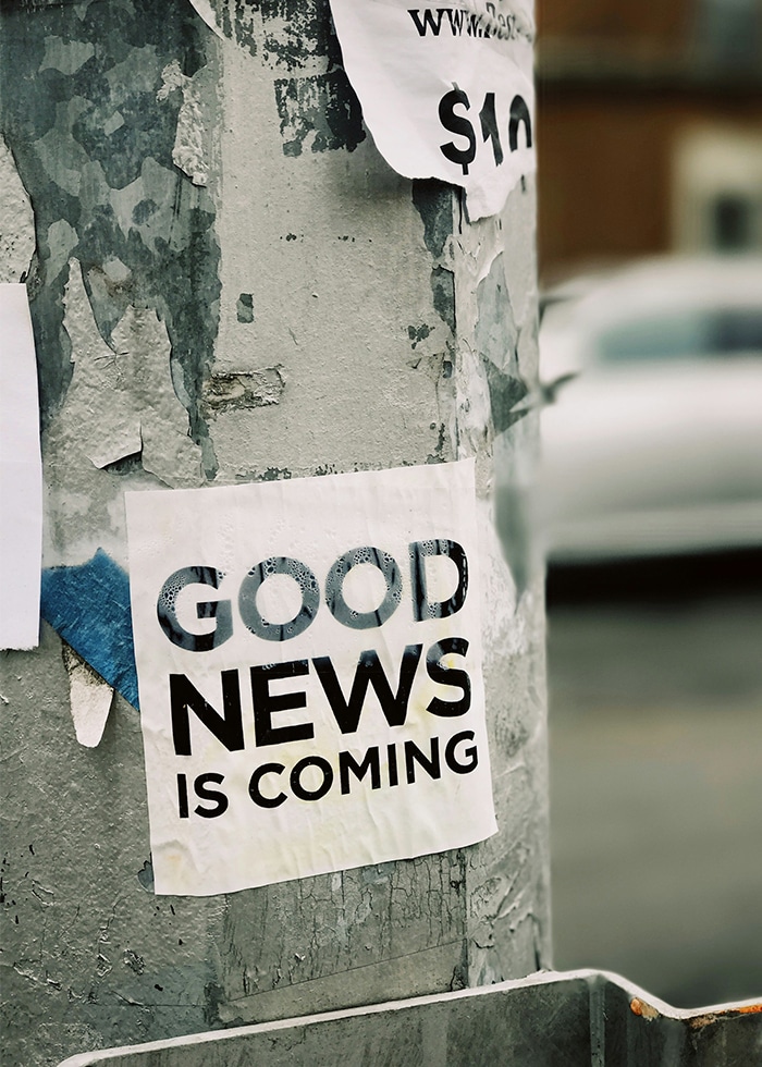 Newsletter in wordpress