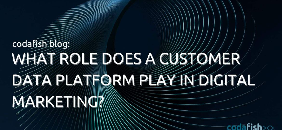 What Role Does a Customer Data Platform Play in Digital Marketing