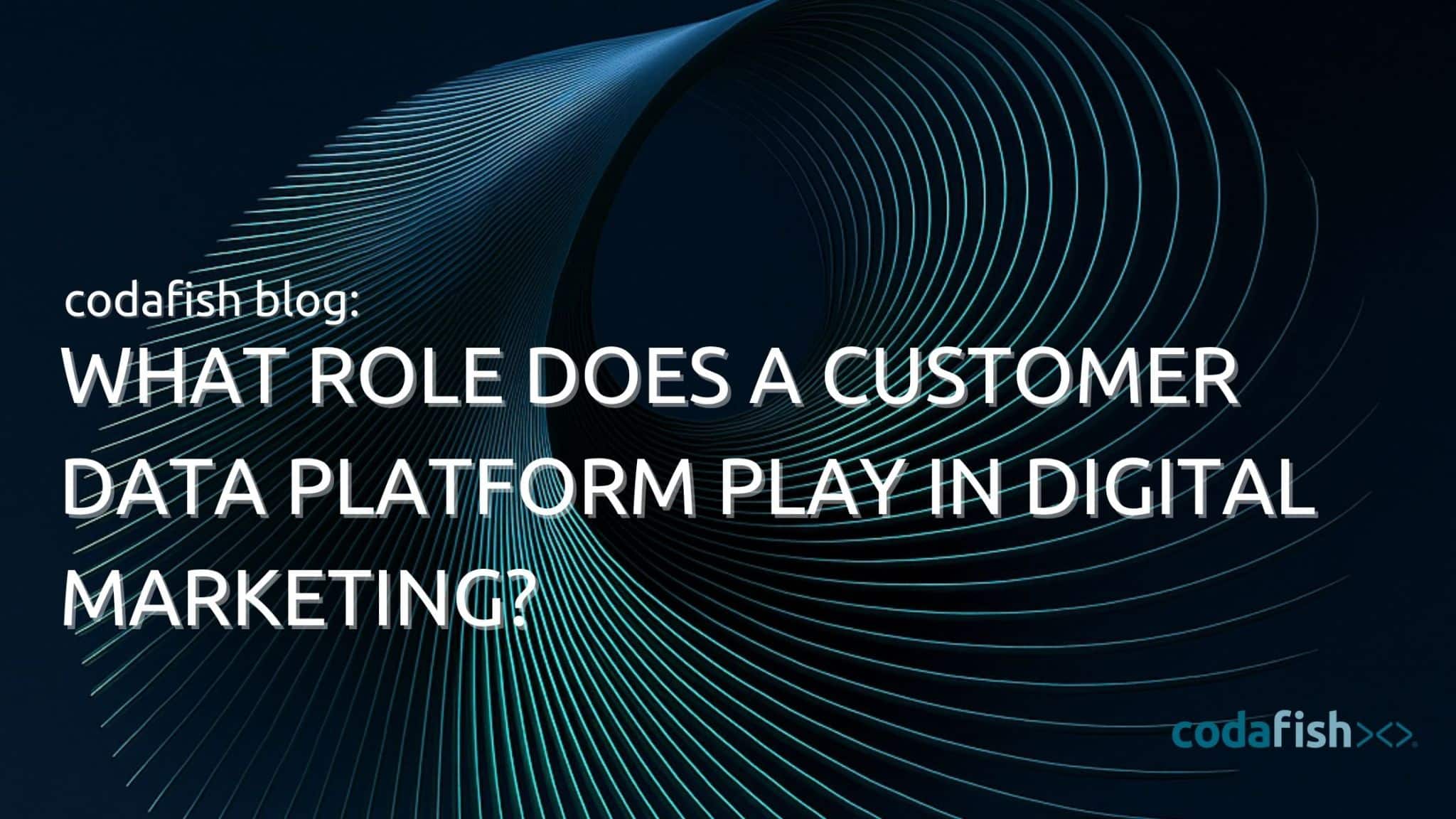What Role Does a Customer Data Platform Play in Digital Marketing