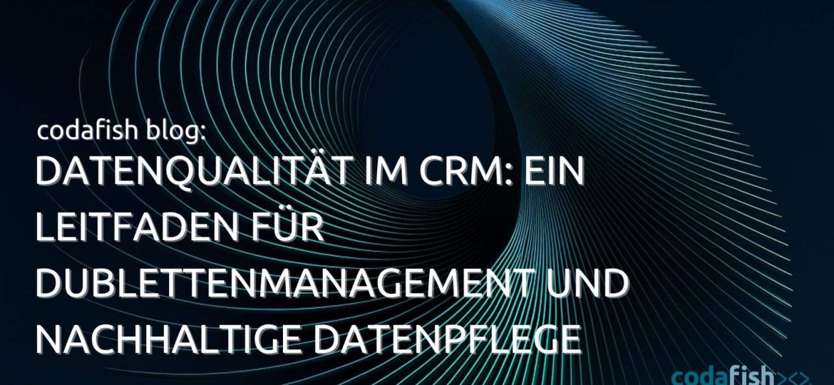 CRM Data Quality Duplicate Management Data Maintenance 1