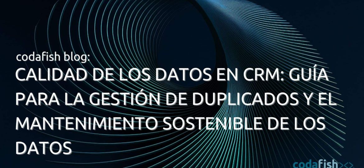 CRM Data Quality Duplicate Management Data Maintenance 2